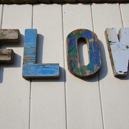 Flow إغموند آن زي المظهر الخارجي الصورة