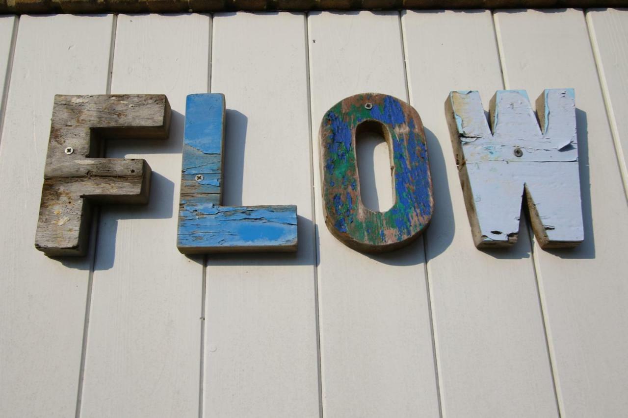 Flow إغموند آن زي المظهر الخارجي الصورة